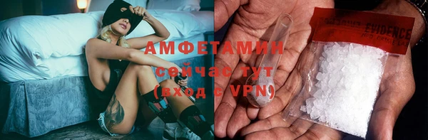 стаф Белокуриха