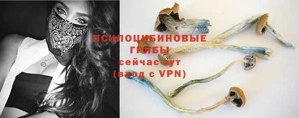 первитин Богданович