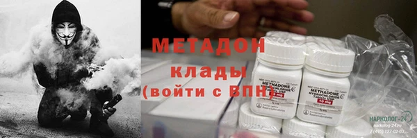 прущие грибы Беломорск