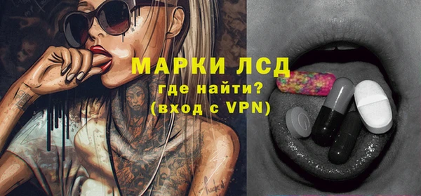 прущие грибы Беломорск