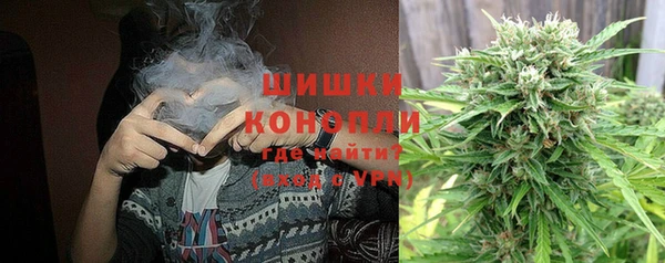 прущие грибы Беломорск